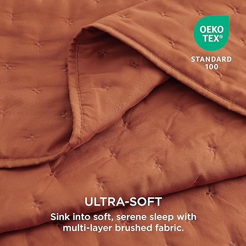 Miniatura 3 de Bedsure - Juego de colcha tamaño Queenmatrimonial, ultrasónico suave, diseño de trébol, colcha ligera para todas las estaciones (incluye 1 colcha, 2