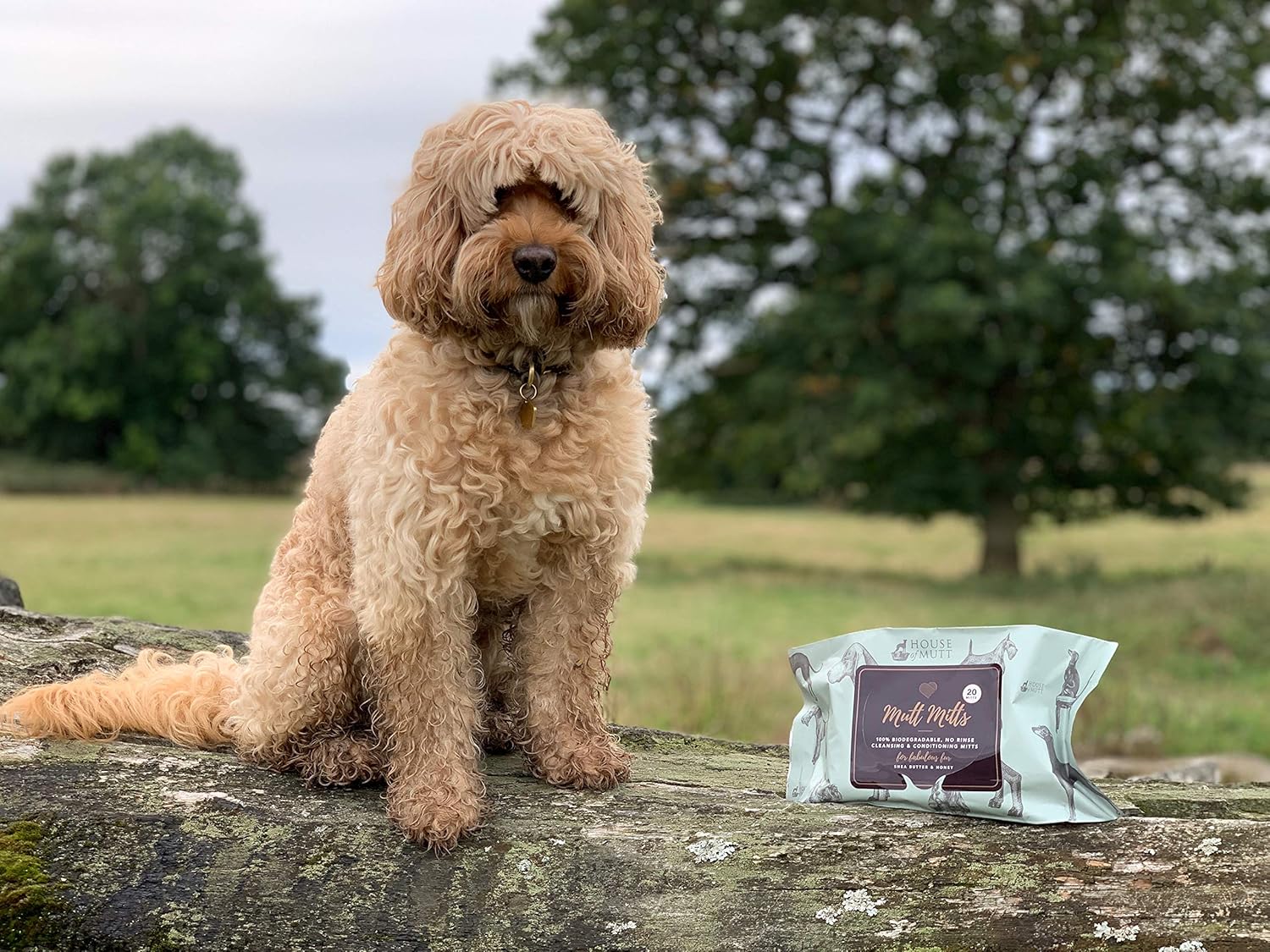 mutt mitts amazon