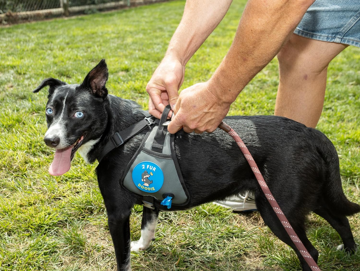 The Poop Saddle – All-in-One Dog Harness with Built-in Poop Bag Holder, Storage Pouch & Cooling Mesh | Hands-Free Waste Bag Carrying for Daily Dog Walks Size (MED-LG)