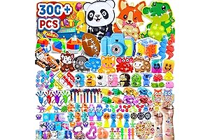 300-Piece Fidget Toy Box: Ultimate Party Favor Assortment