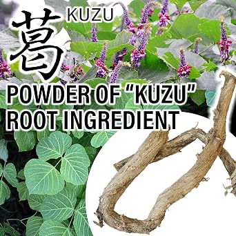 YAMASAN KYOTO UJI Japanese Natural Kudzu Arrowroot Powder Starch 6.34oz | Premium Gluten-Free Vegan Thickener for Cooking & Baking, Traditional Japanese Kudzu Starch, 180g