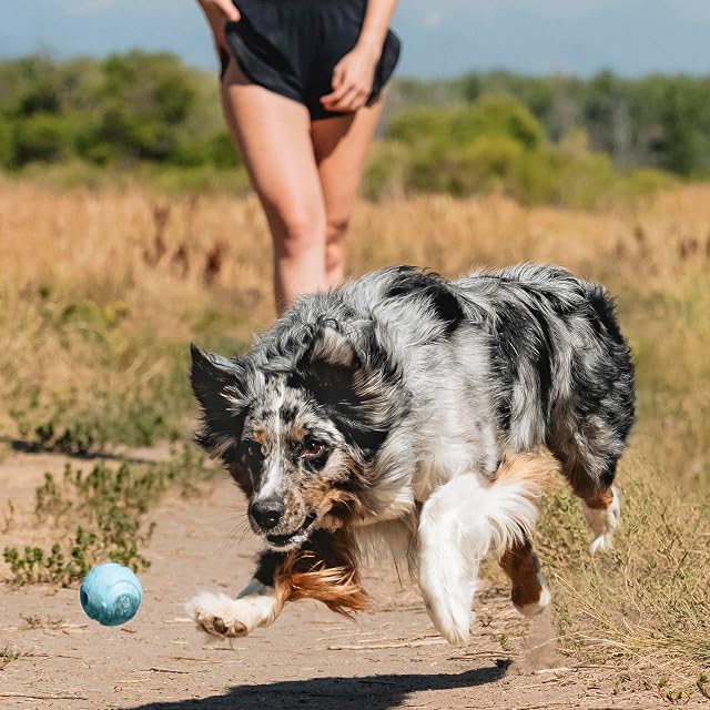 Foto 3 de 8 de Chuckit 202203 The Whistler Ball, 1 Pelota para Perros Compatible con el Lanzador, M