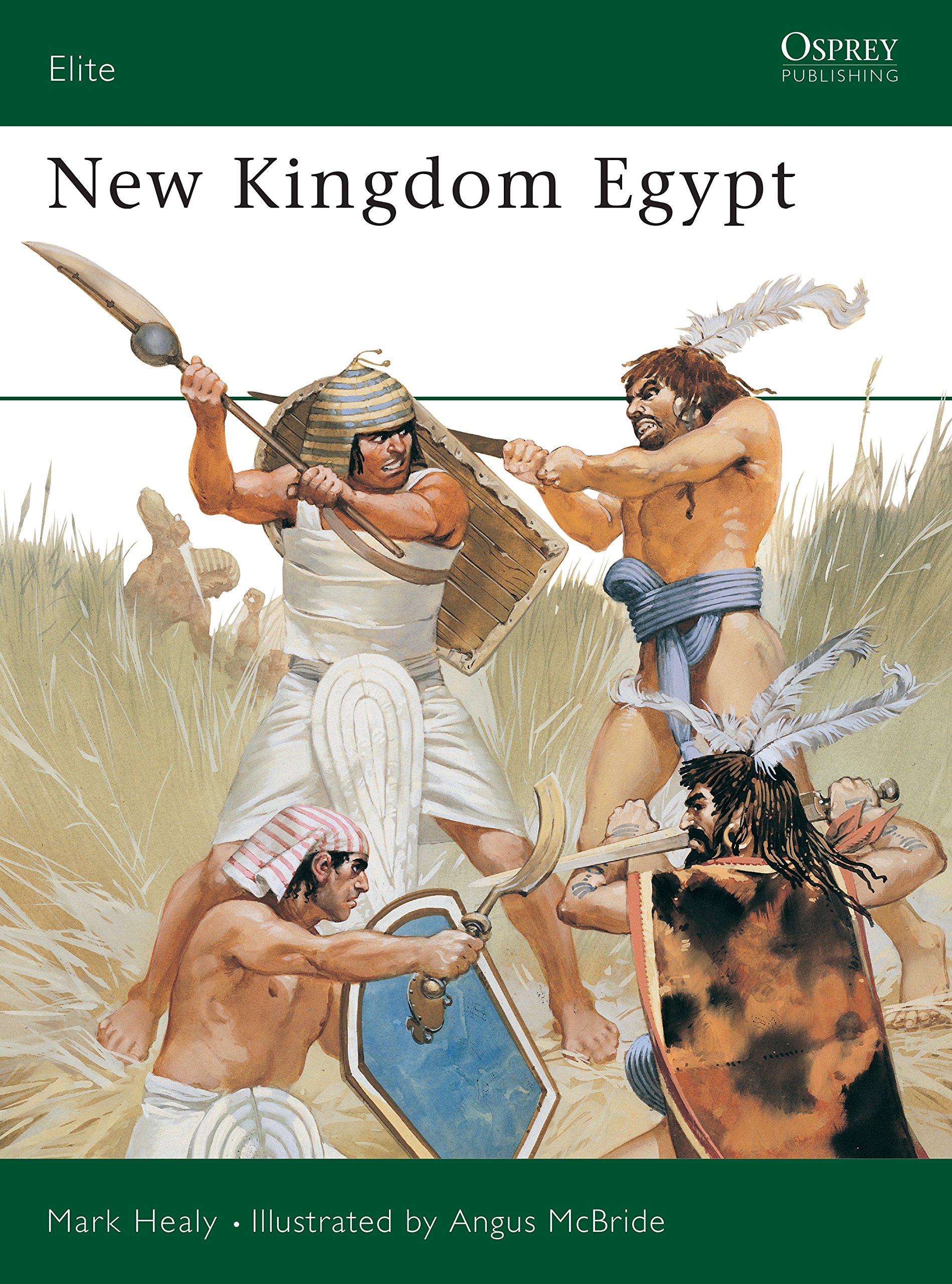 New Kingdom Egypt: v. 40 (Elite) Paperback – Illustrated, 28 May 1992
