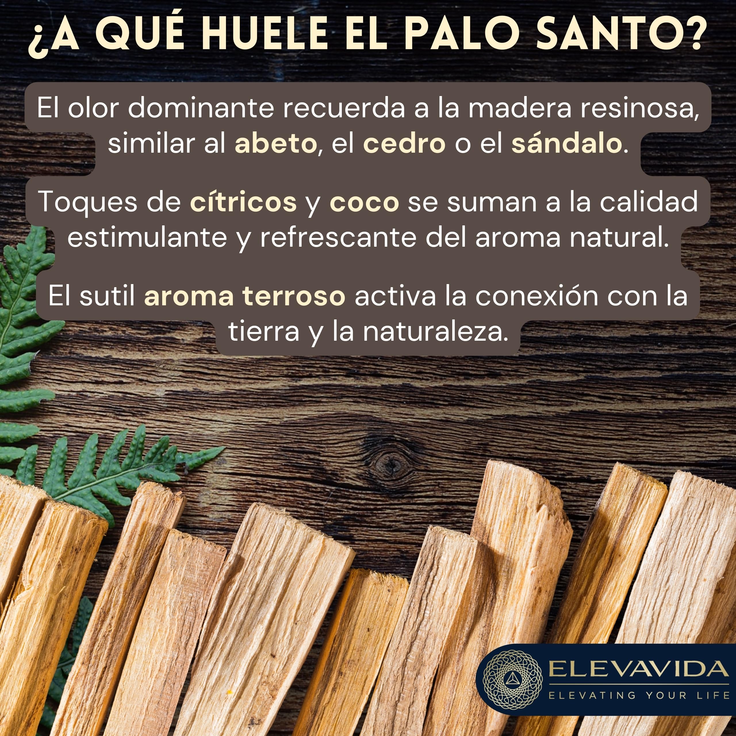 Palo Santo 500 g de Madera de Incienso de Perú - aromático, fragante, recolectado de Forma sostenible - Palo Santo para Quemar partidas a Mano - Bursera graveoles - Madera Sagrada