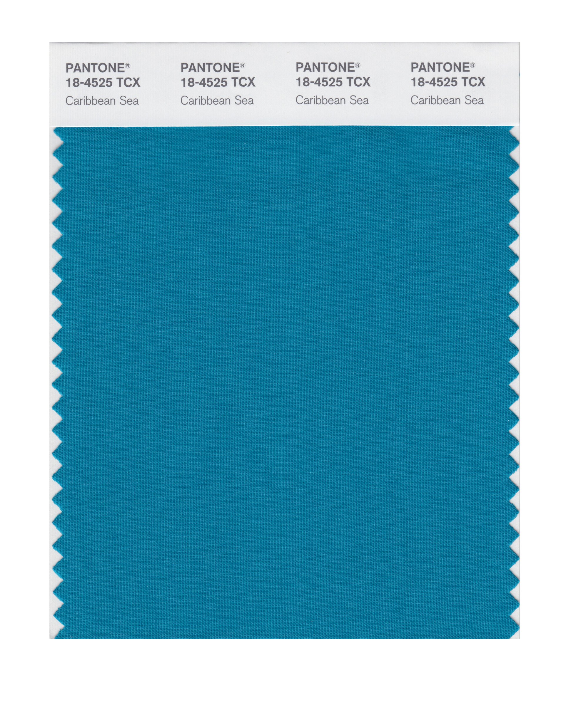 PANTONE Smart 18-4525X Color Swatch Card, Caribbean Sea - Long