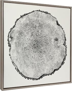 Kate and Laurel Sylvie Tree Rings 1 Framed Linen Textured Canvas Wall Art by Emiko and Mark Franzen of F2Images; 30x30 Gray; Organic Tree Art for Wall