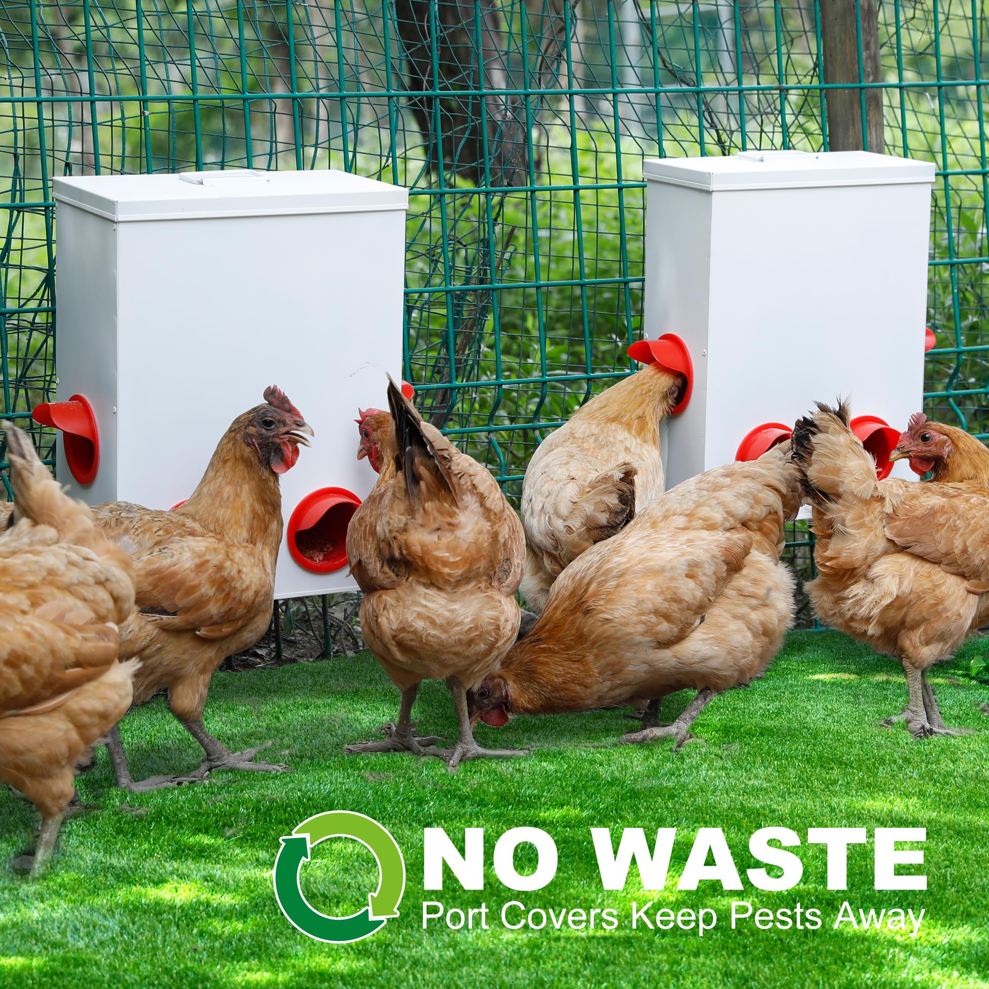 2 Piezas Comedero para Pollos Alimentador automático de Pollo de 6 y 9 kg, Metal Dispensador De Pienso, Comedero gallinas de Colgante o Suelo, sin Desperdicio, Patos, Aves de Corral