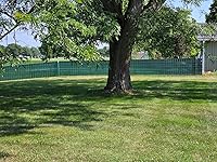 Review Image by Sunny Sunny