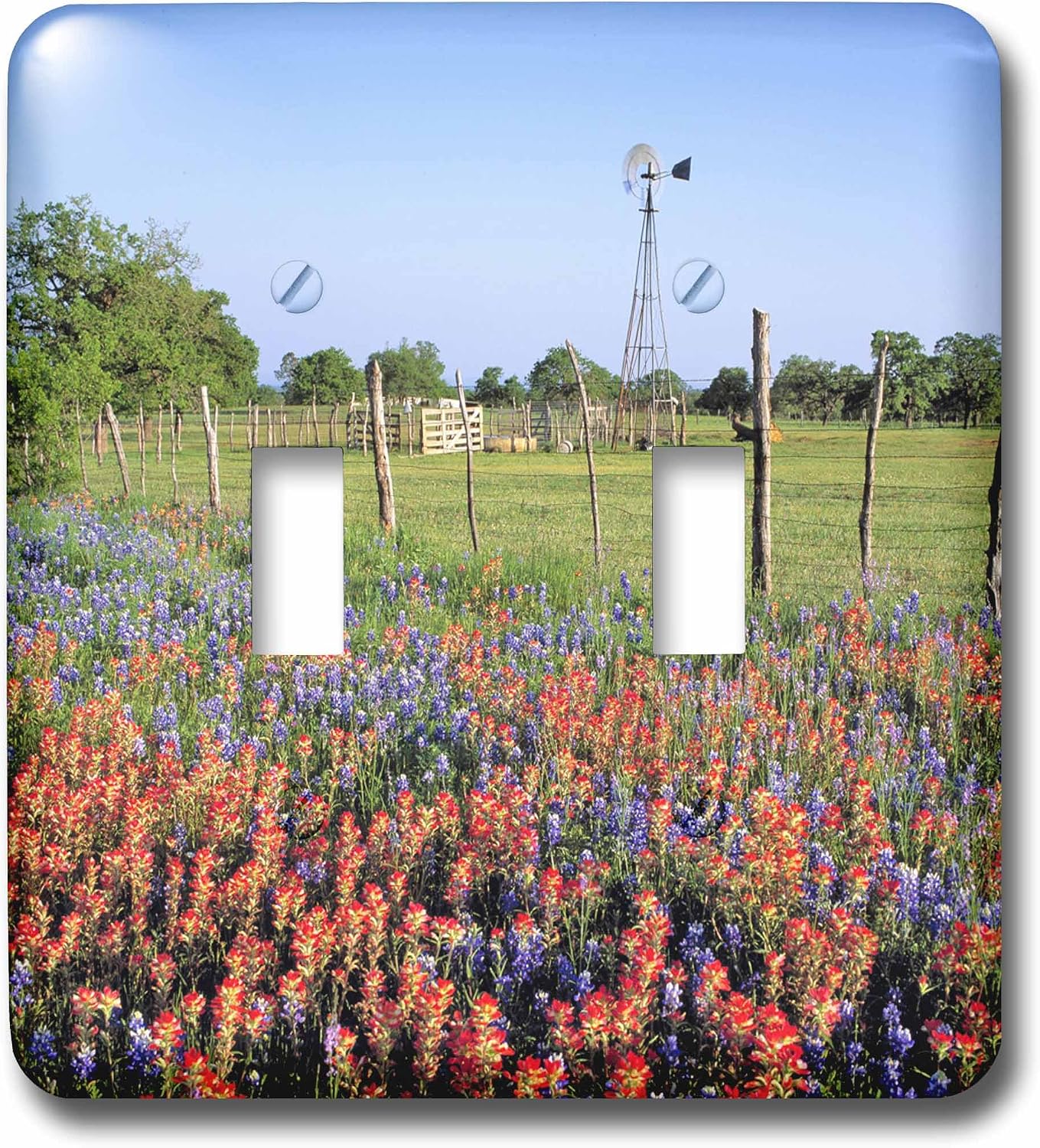 3dRose LLC lsp_94538_2 Texas, Llano Indian Paintbrush, Bluebonnets Us44 Rer0000 Ric Ergenbright Double Toggle Switch