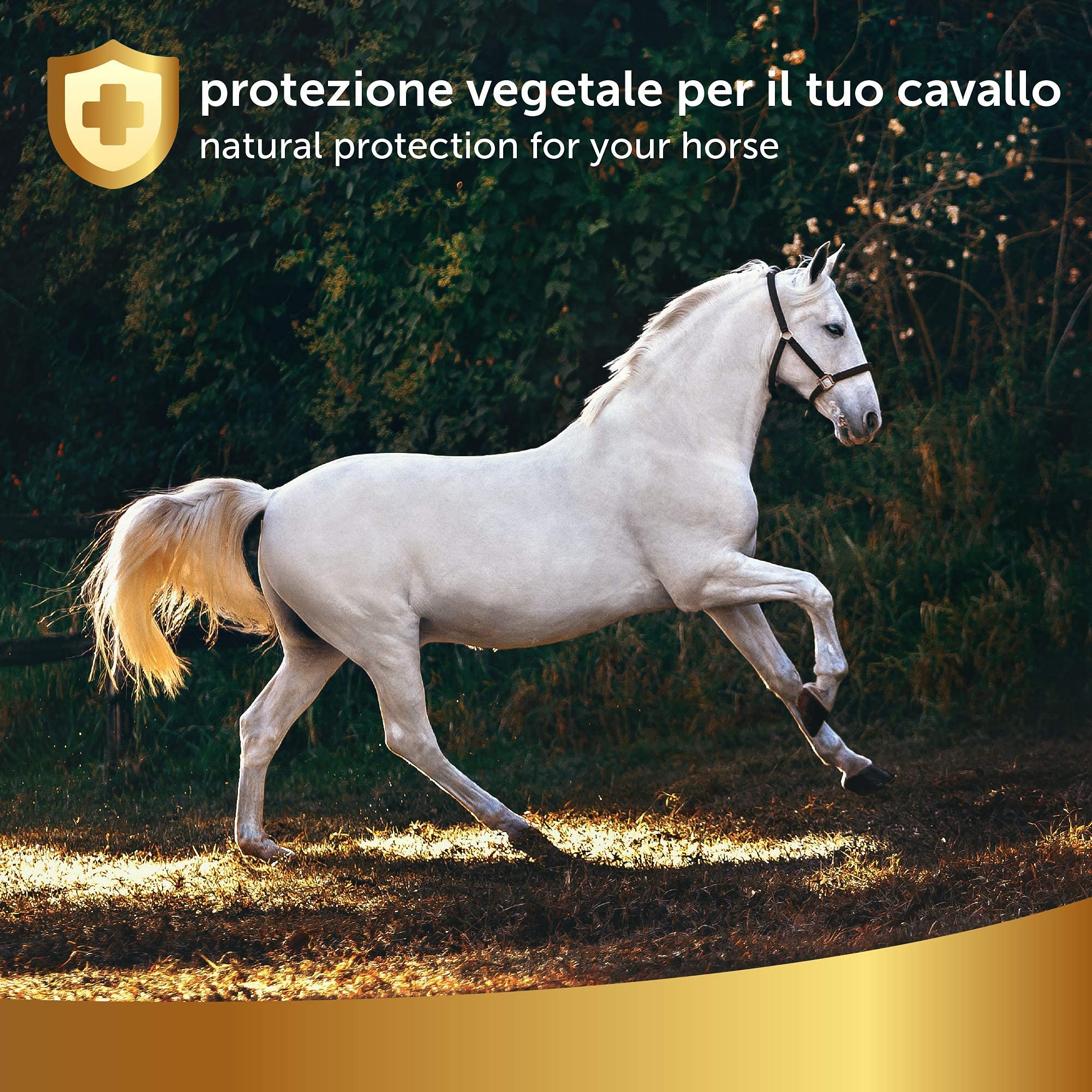 Spray Protección Natural, 500ml - Repelente específico contra moscas, tábanos, avispas, mosquitos, mosquitos etc - Extractos naturales de clavel, geranio, citronela - para caballos, Linea 101