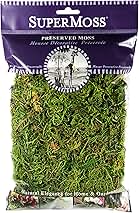 SuperMoss (25320) Forest Moss Preserved, Fresh Green, 2oz