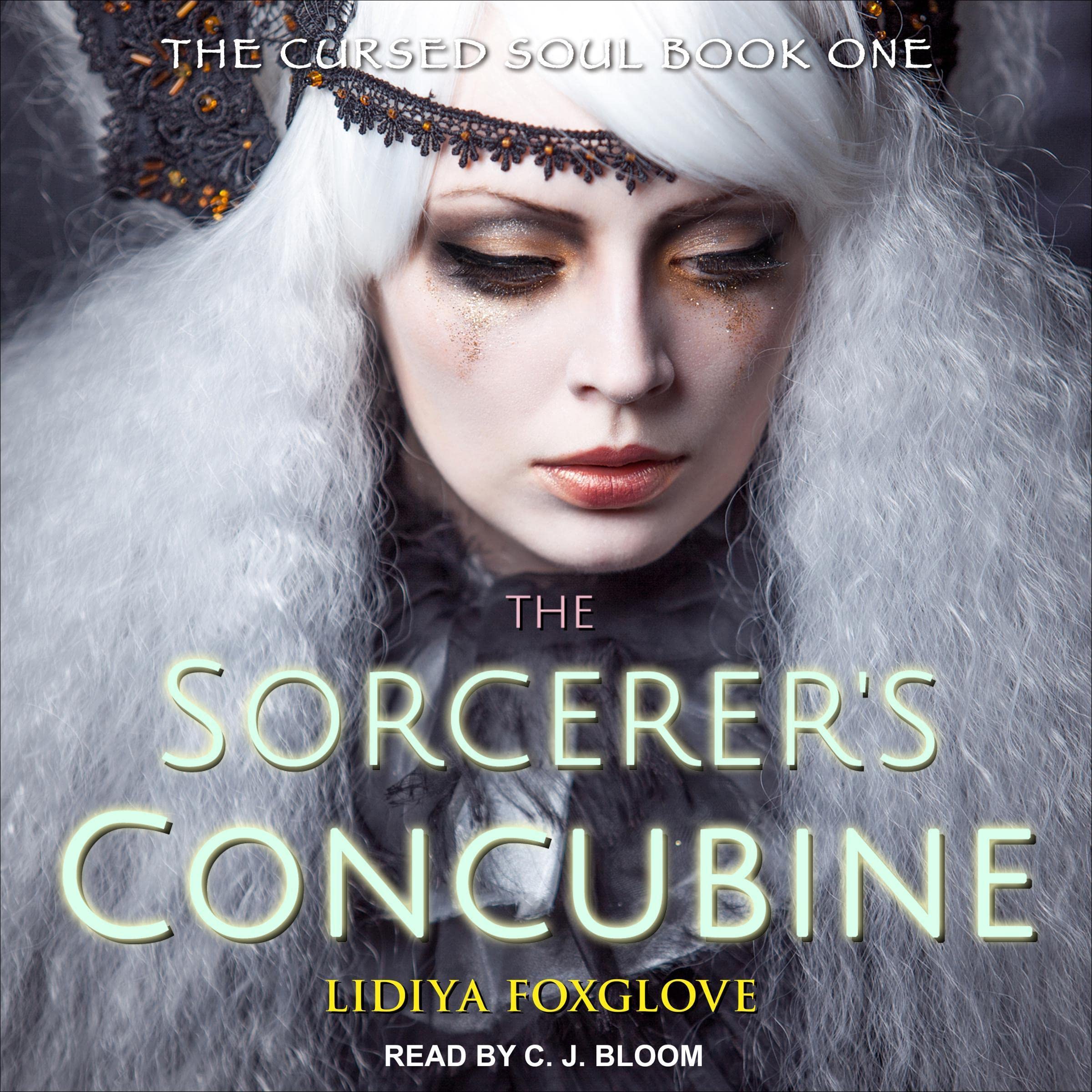 Cover art for The Sorcerer's Concubine