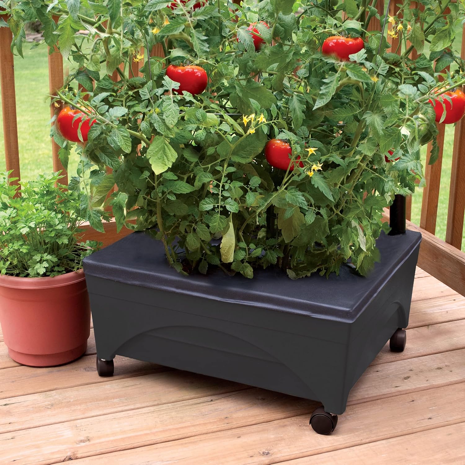 Emsco Group City Picker Raised Bed Grow Box – Self Watering and Improved Aeration – Mobile Unit with Casters