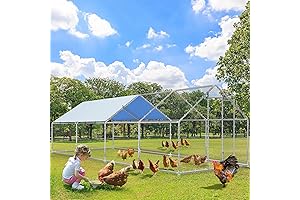 Chicken Coop Outdoor Dog Kennel with Cover, Run and Large Walk-in Cage