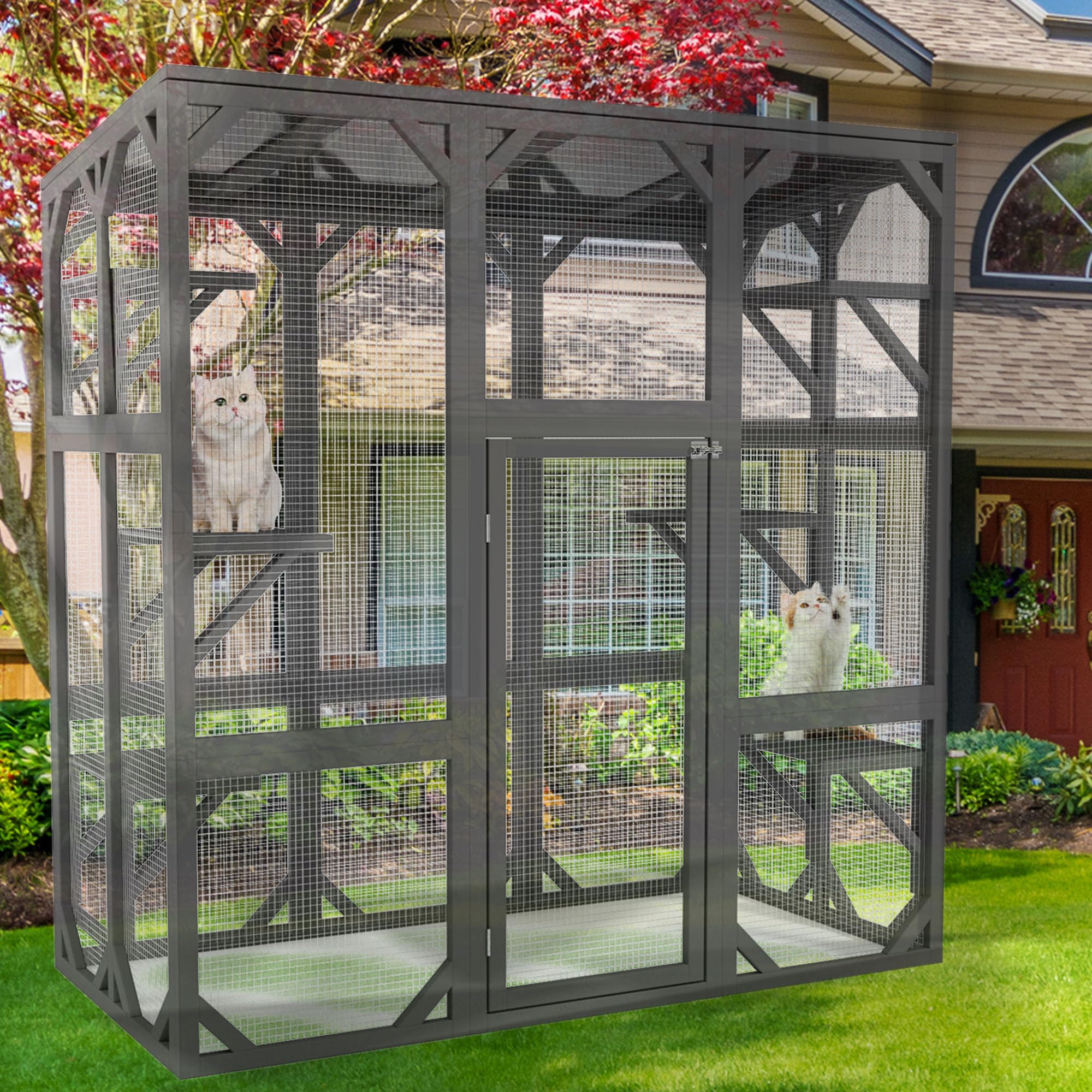 cat enclosures outdoor cat houses for multiple cats diy