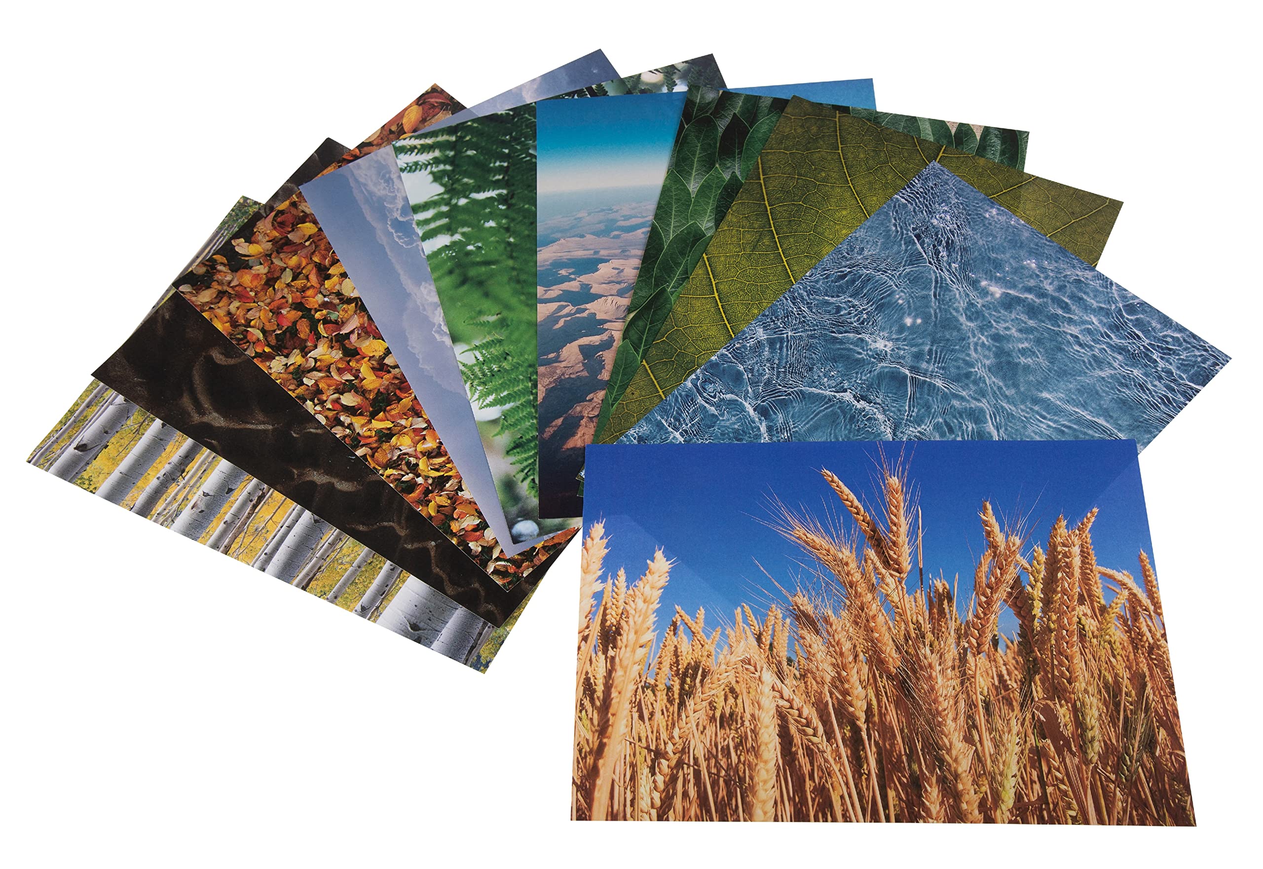Craft paper | Printed A4 paper | Collage paper | Pack of 40 sheets | Nature