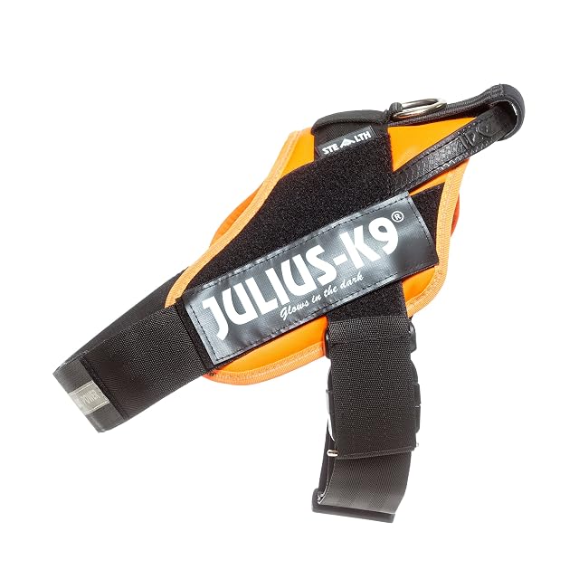 Julius-K9, Arnés IDC Stealth, Tamaño: 1, Colore: Naranja UV