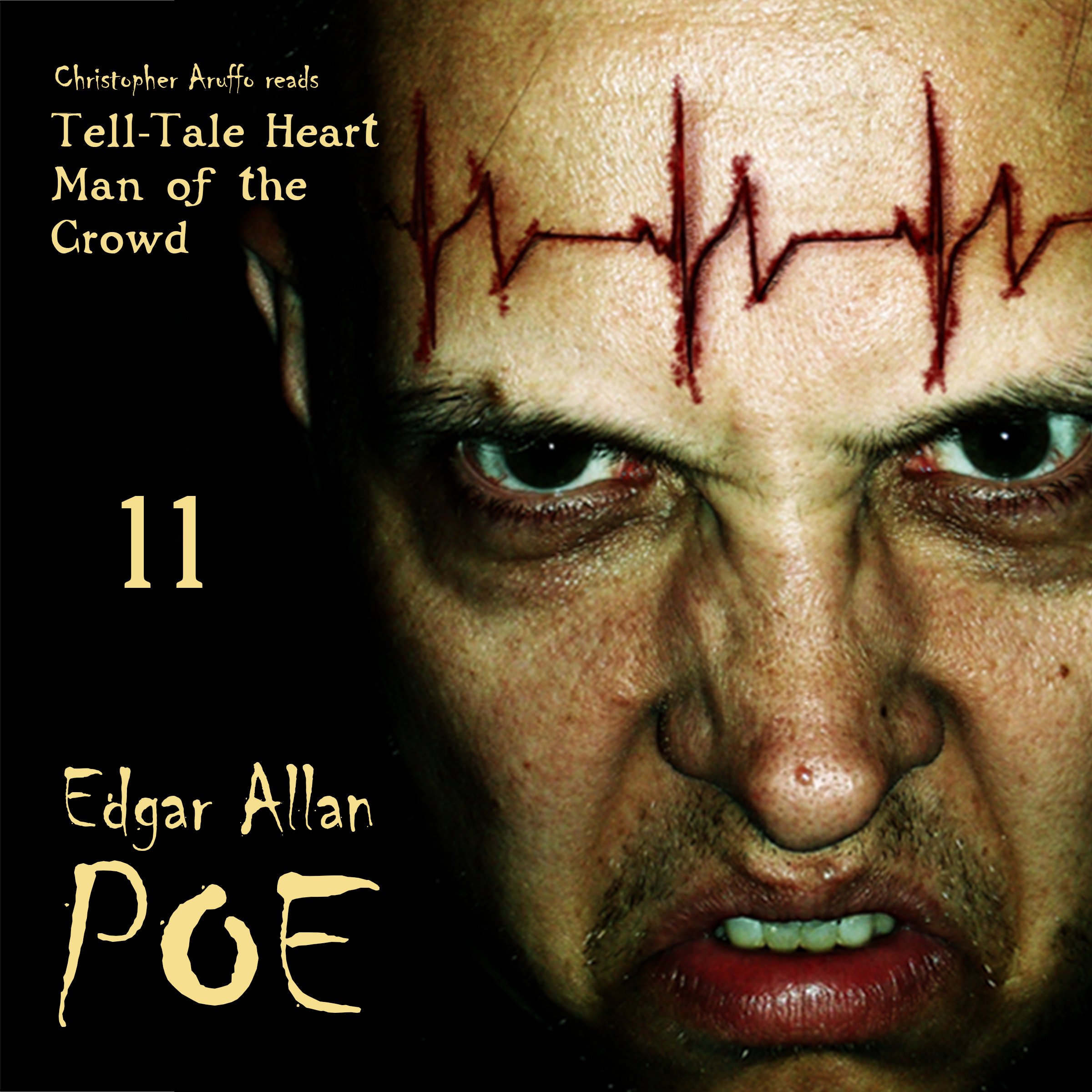 Cover art for Edgar Allan Poe Audiobook, Collection 11