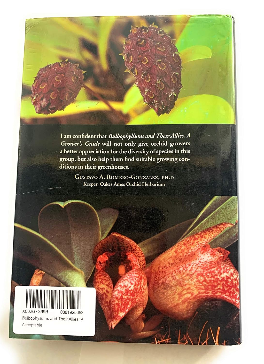Bulbophyllums and Their Allies: A Grower's Guide