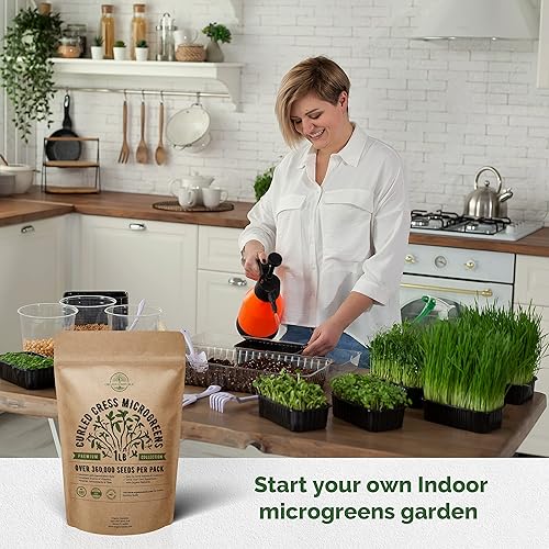 Miniatura 5 de Paquete de semillas de microgreens de berro y remolacha, semillas de reliquia sin OMG para plantar en interiores y exteriores más de 380,000