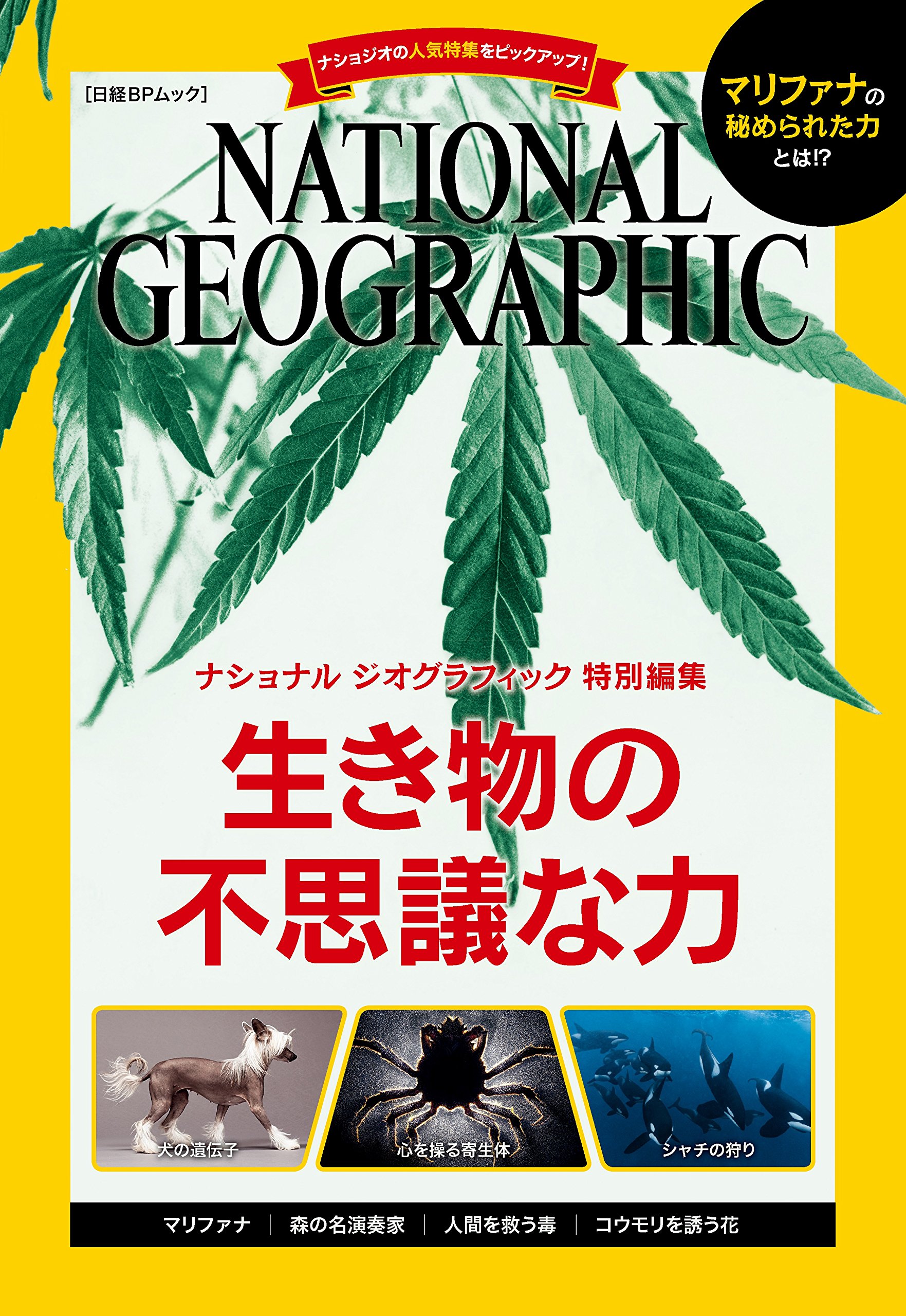 NATIONAL GEOGRAPHIC ／ 注意力の不思議 91VlJumxUDL.jpg