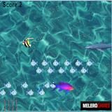 Connect to FB Here Fishy Fish