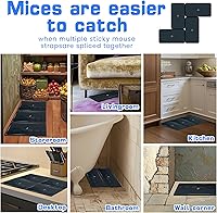 Vista 6 de Landisun Trampas de pegamento para ratas de ratón para interior para el hogar, ratones de serpiente, control de plagas de araña