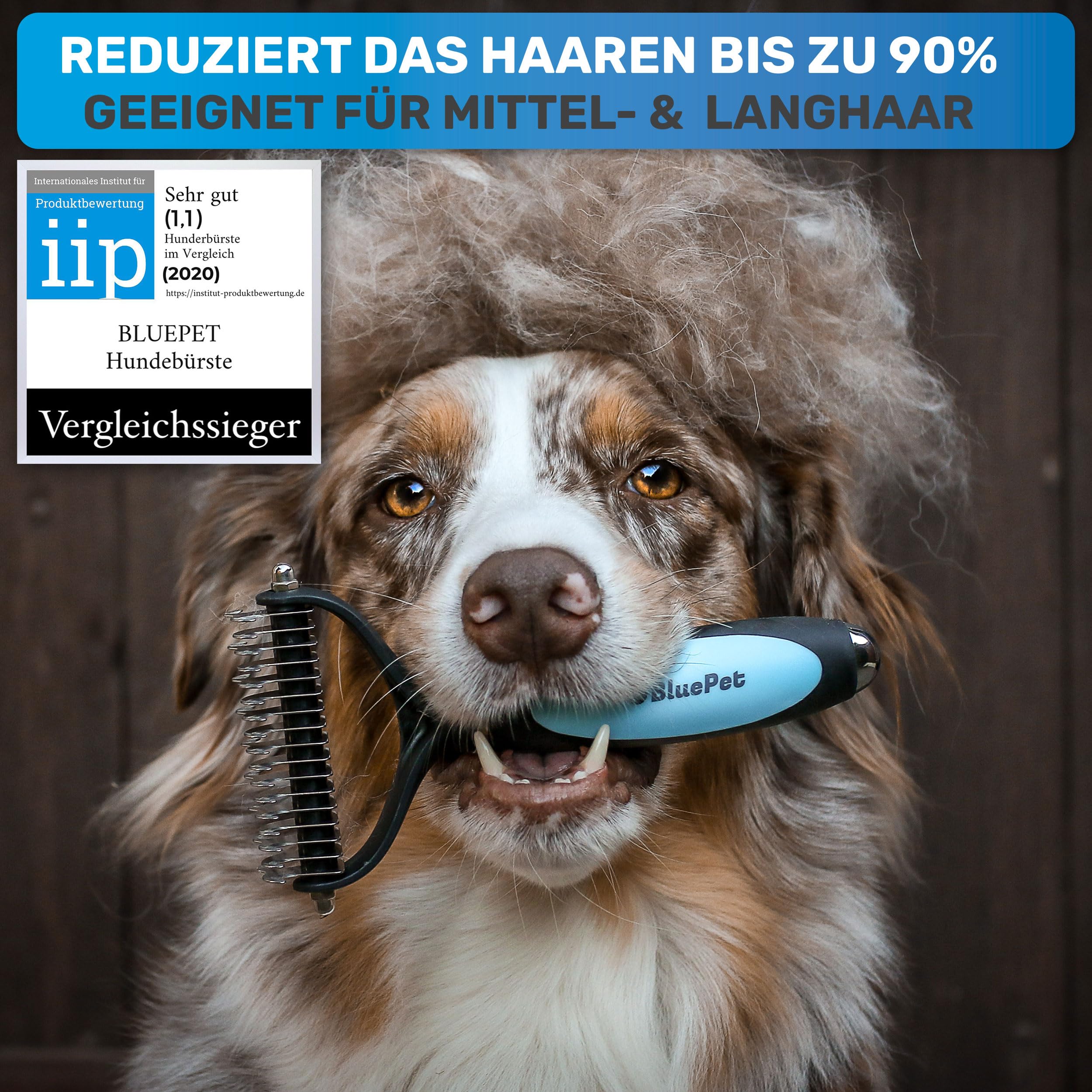 BluePet Hundebürste Unterwolle langhaar & Katzenbürste langhaar I Unterwollkamm entfernt Unterwolle & Verfilzungen I Deckhaarschutz & Knoten Entfernen I Unterfellbürste Hunde für Fellwechsel