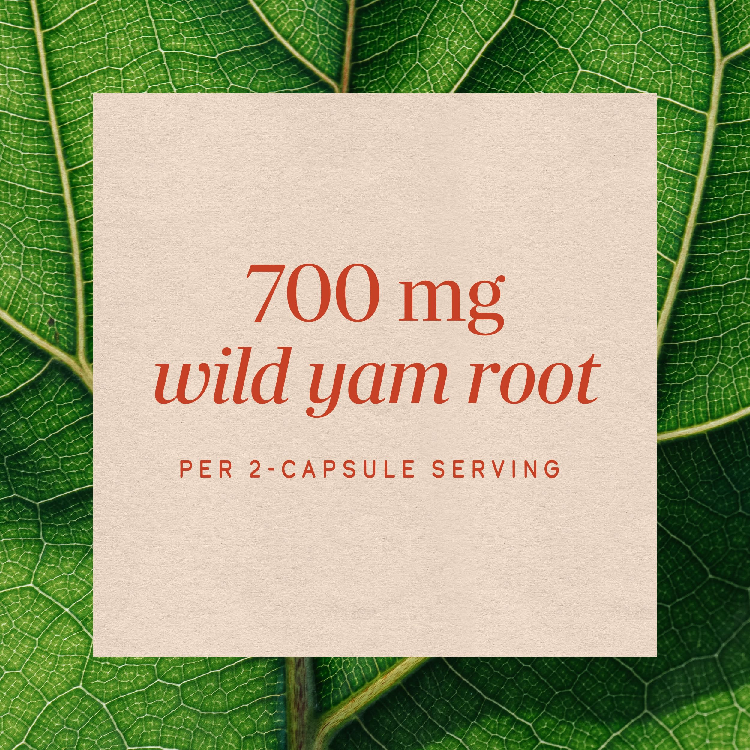 Nature's Way, Wild Yam, Root, 425 mg, 100 Vegetarian Capsules — Amazon image 4