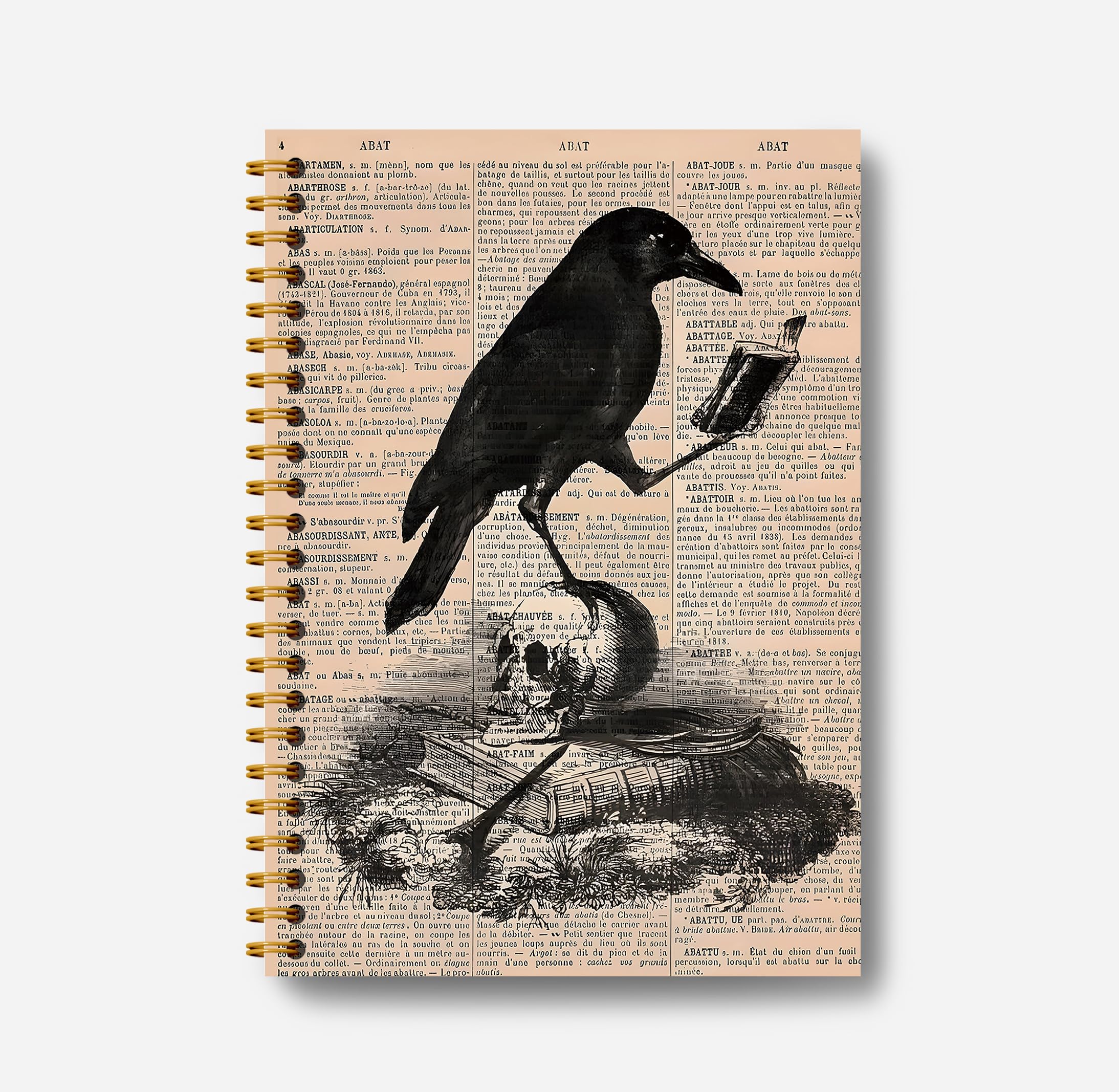 Guymn Cuaderno gótico de cuervo de calavera – Diario gótico, diario genial, cuaderno de bruja, material de bruja, suministros de oficina góticos, cuaderno de Halloween, cuaderno de espiral de 5.5 x