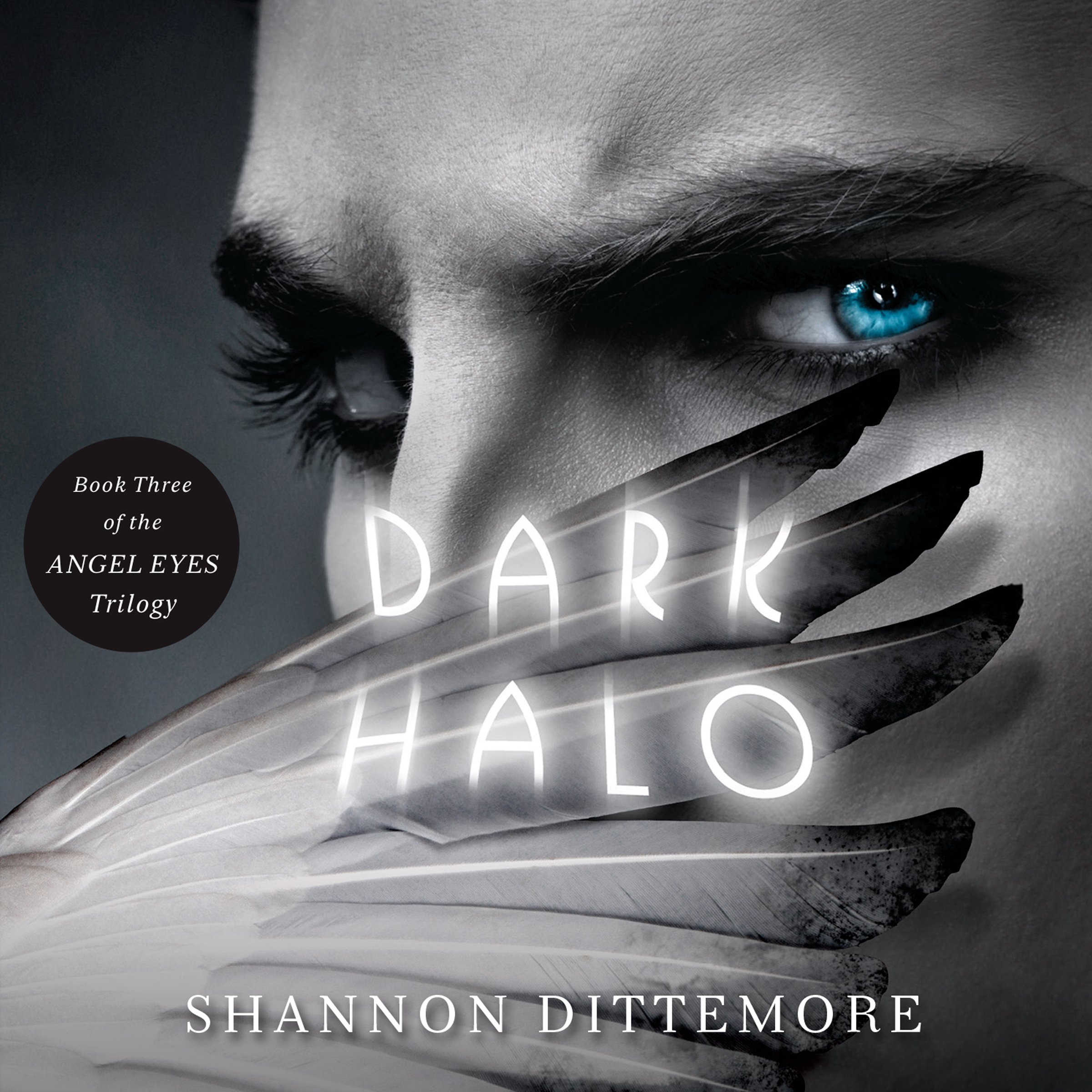 Cover art for Dark Halo