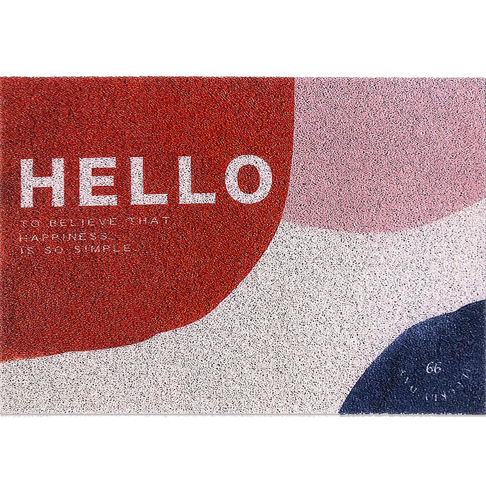 Grand tapis de bienvenue 70x100cm parfait pour sublimer l'entrée