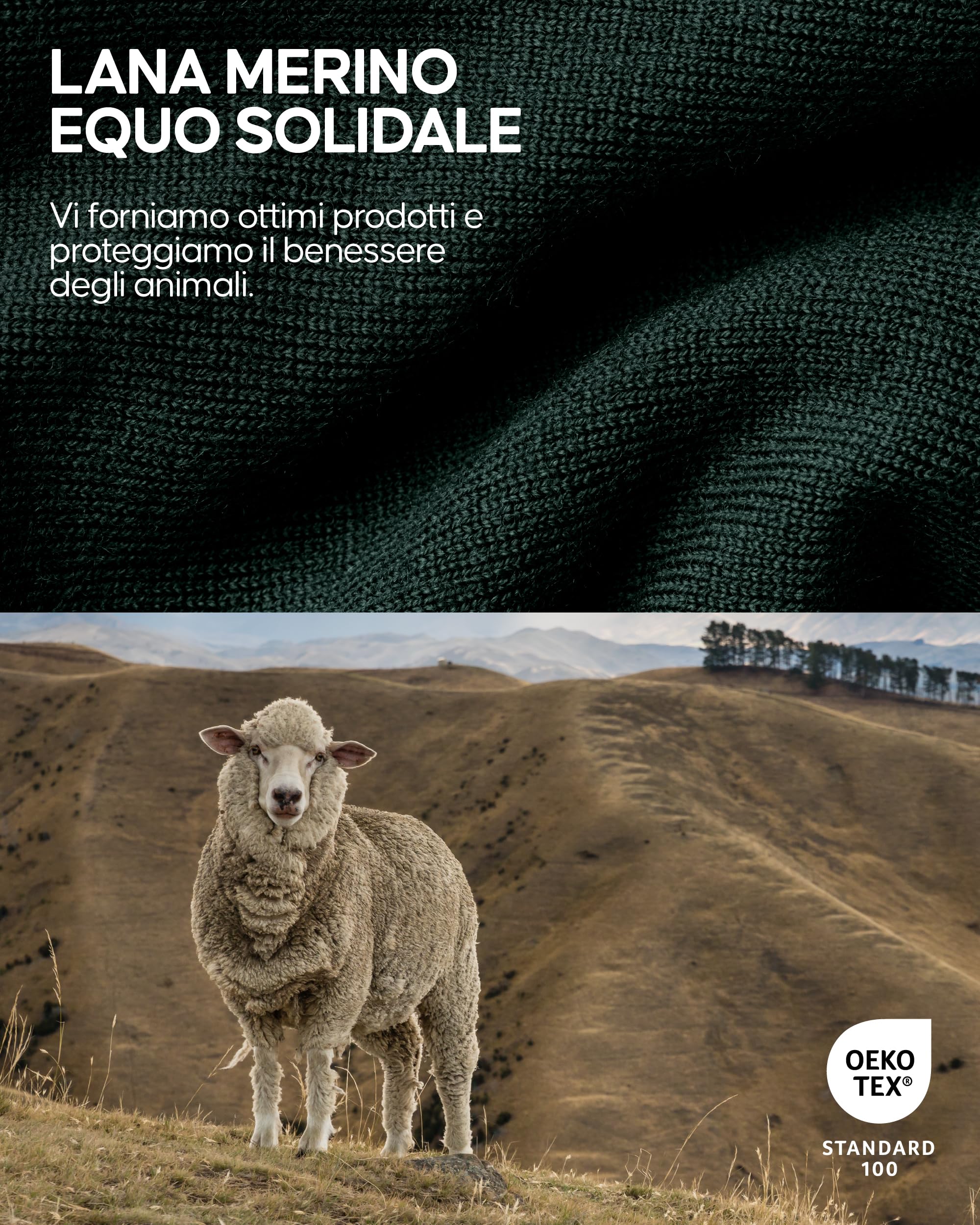 DANISH ENDURANCE Intimo Termico Uomo Lana Merino, Maglia Termica Uomo e Pantaloni Termici, Calzamaglia Termica Uomo Invernale per Sci, Trekking