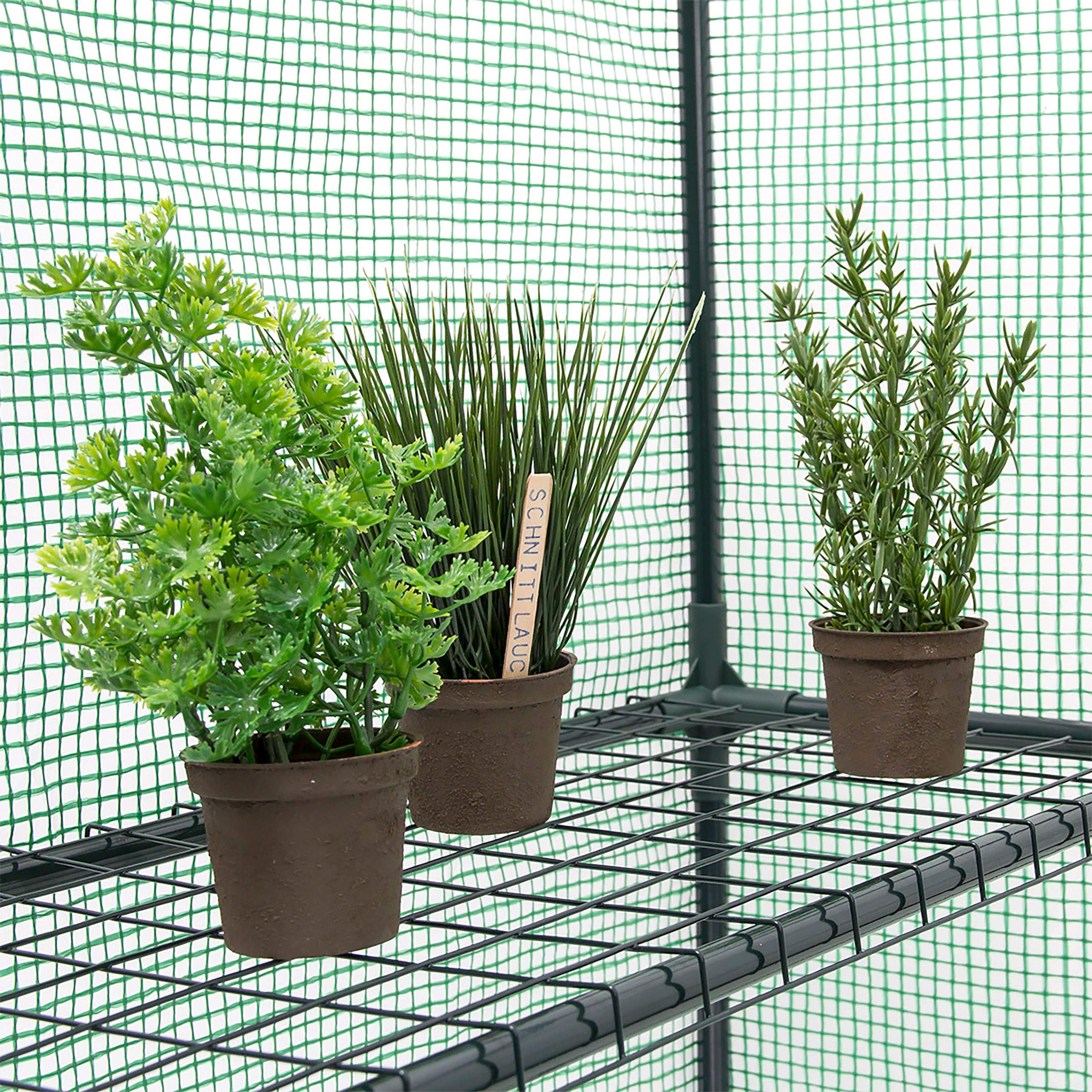 Relaxdays Serra Praticabile, Fogli di PE, HxLxP: 195x140x140 cm, 8 Ripiani, Giardino e Orto, 8 Picchetti e Corda, Verde
