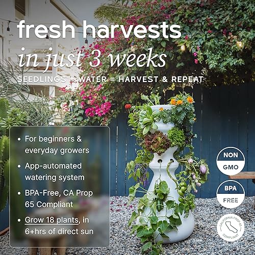 Miniatura 2 de Kit de inicio de granja + 18 créditos de plántulas  Kit de sistema de cultivo hidropónico pequeño  Torre vertical de jardín de riego automático para