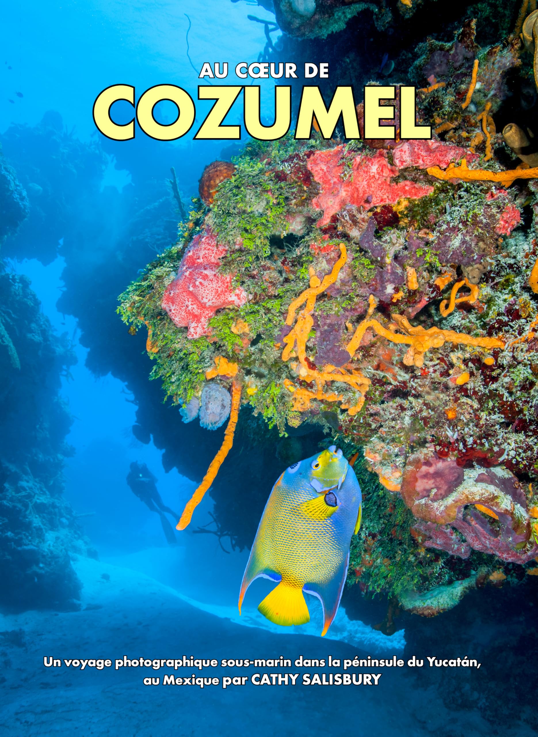 Livre photo Cozumel sous-marin : guide visuel du Yucatán et du Mexique