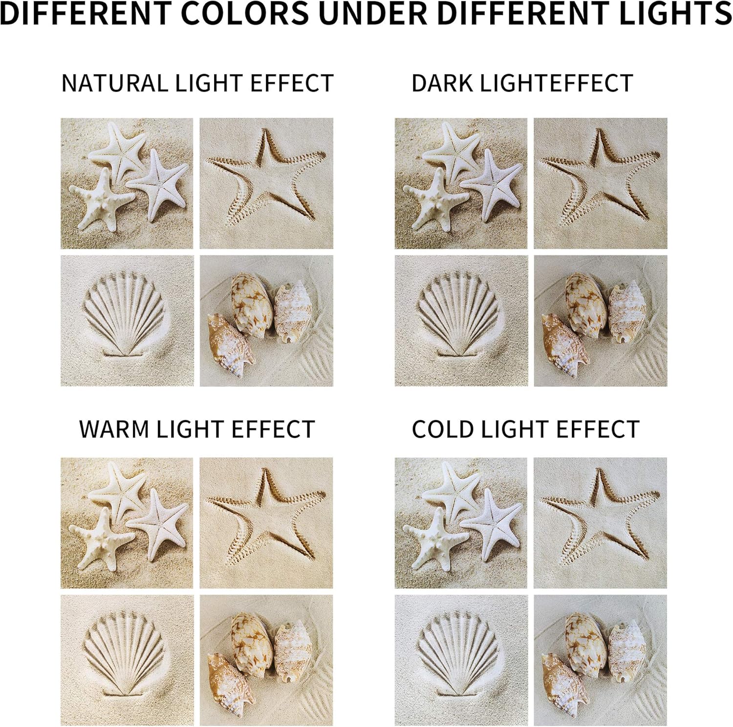 Hardy Gallery Coastal Serene Canvas Wall Art: Shells on Beach Sand Giclee Print Painting for Wall Decor for SPA Room (12''x12''x4pcs)