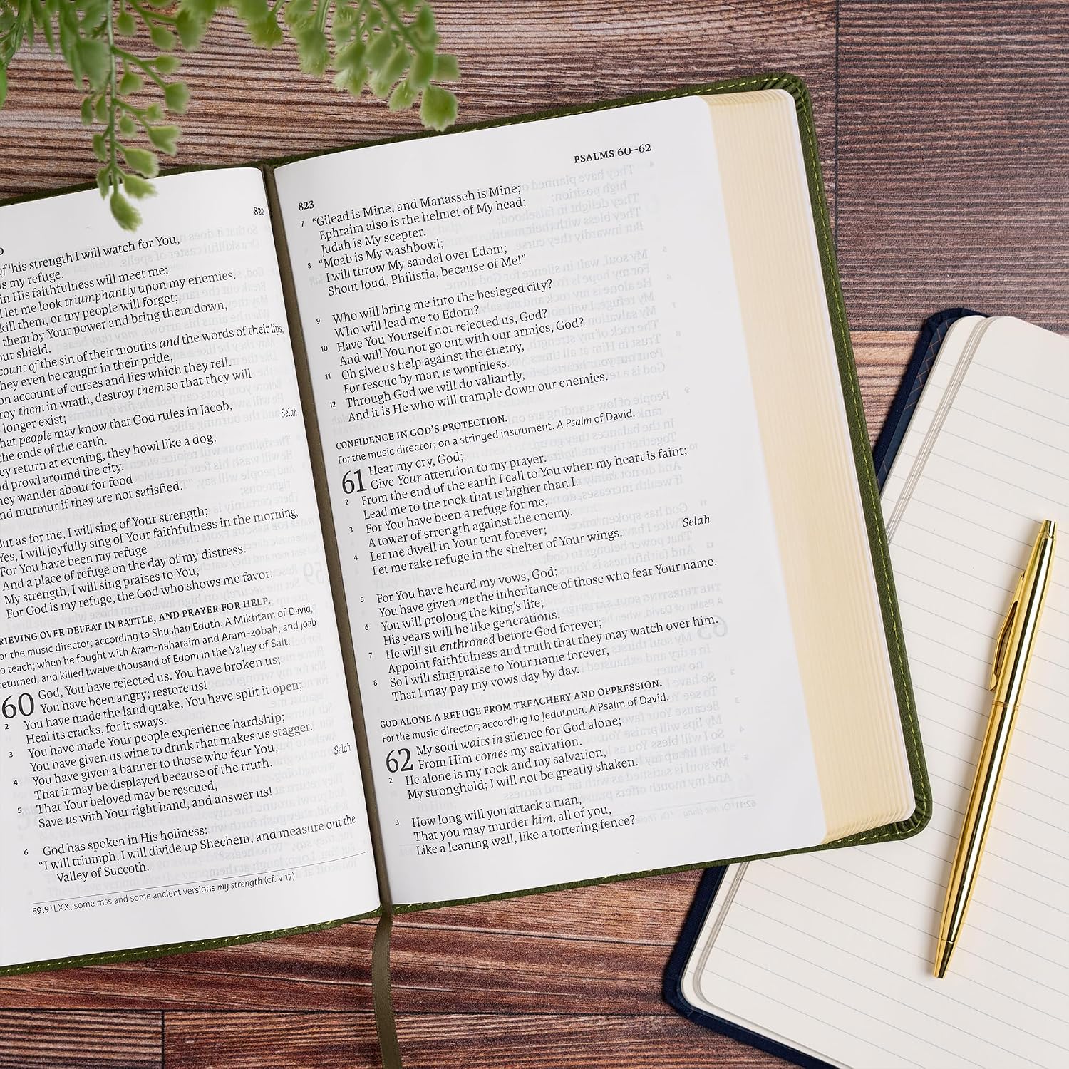 NASB Single-Column Personal Size Bible, Olive LeatherTouch, Black Letter, Presentation Page, Full-Color Maps, Easy-to-Read Bible Serif Type
