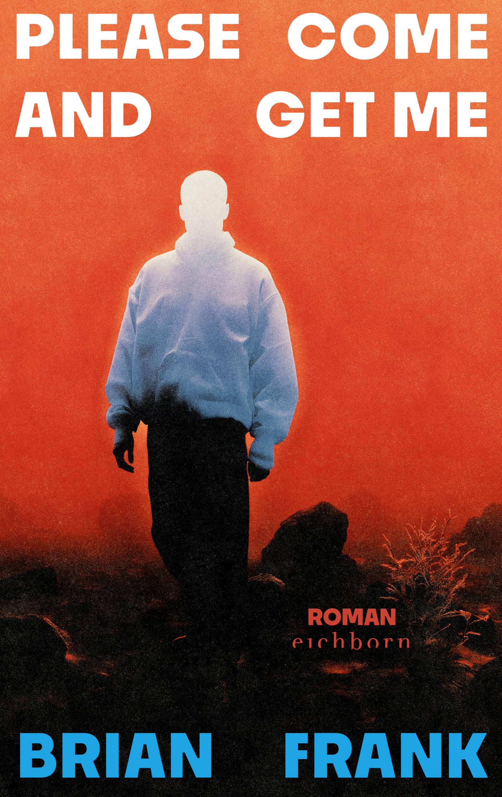 Please Come And Get Me: Roman