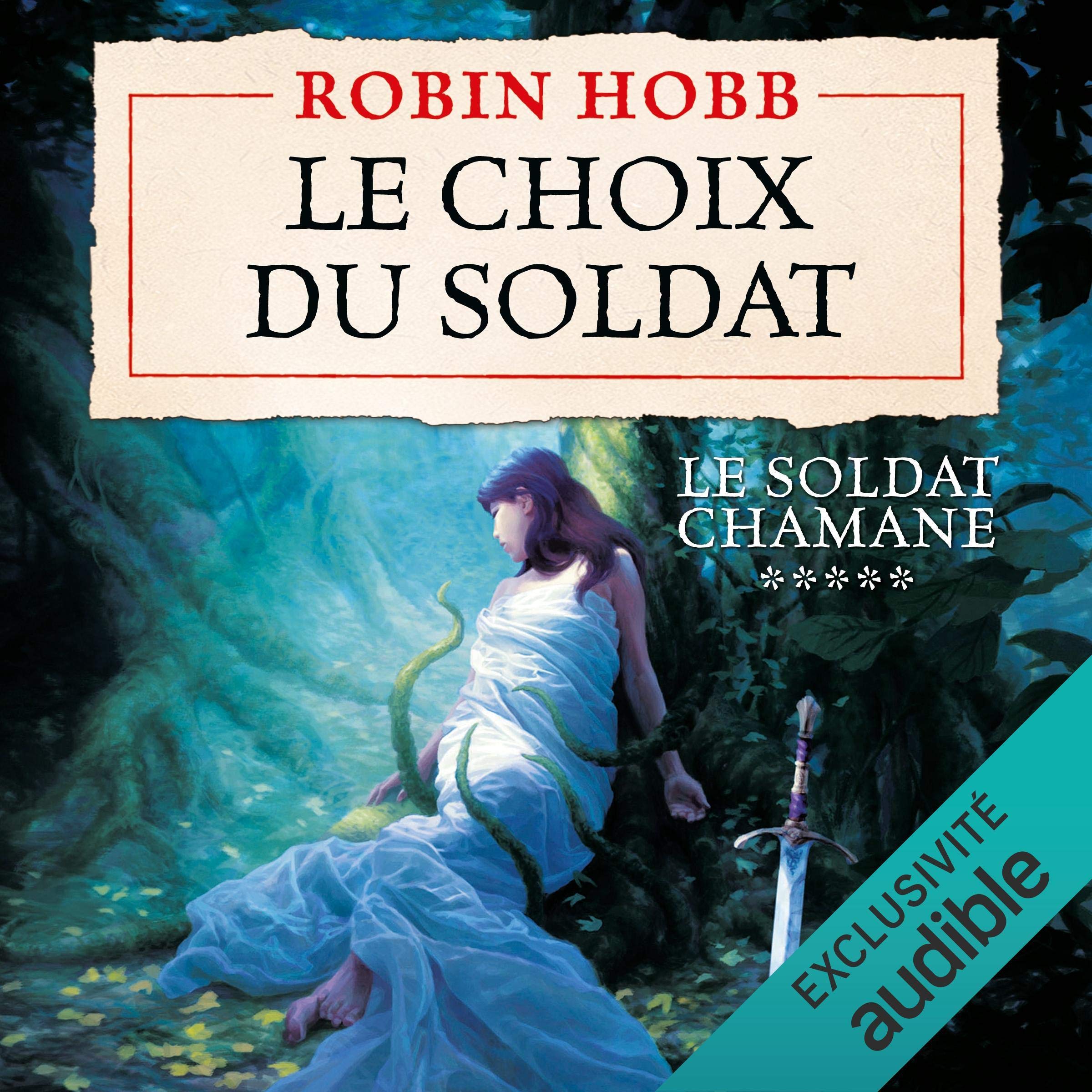 Cover art for Le choix du soldat