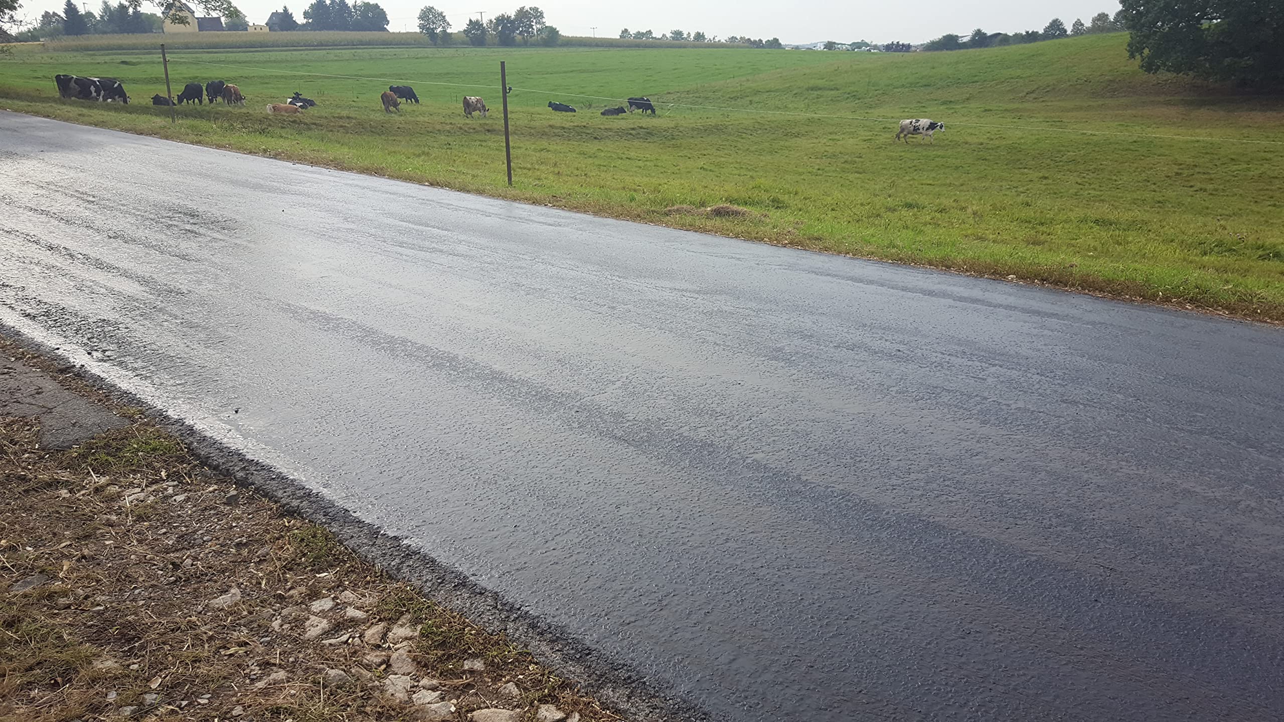 BORNIT Fertigschlämme Asphaltschlämme, 30kg Asphalt Versiegelung