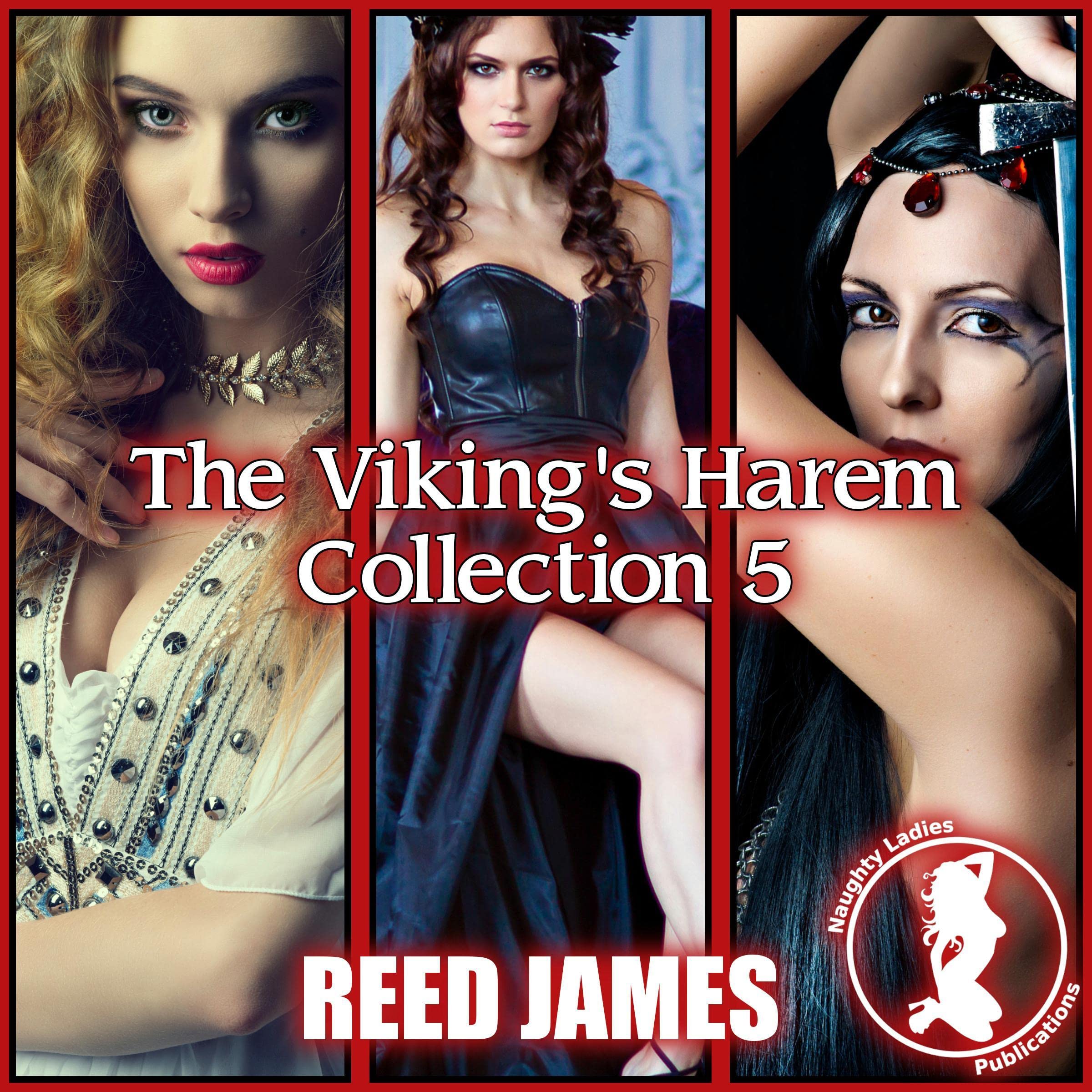 Cover art for The Viking's Harem Collection 5