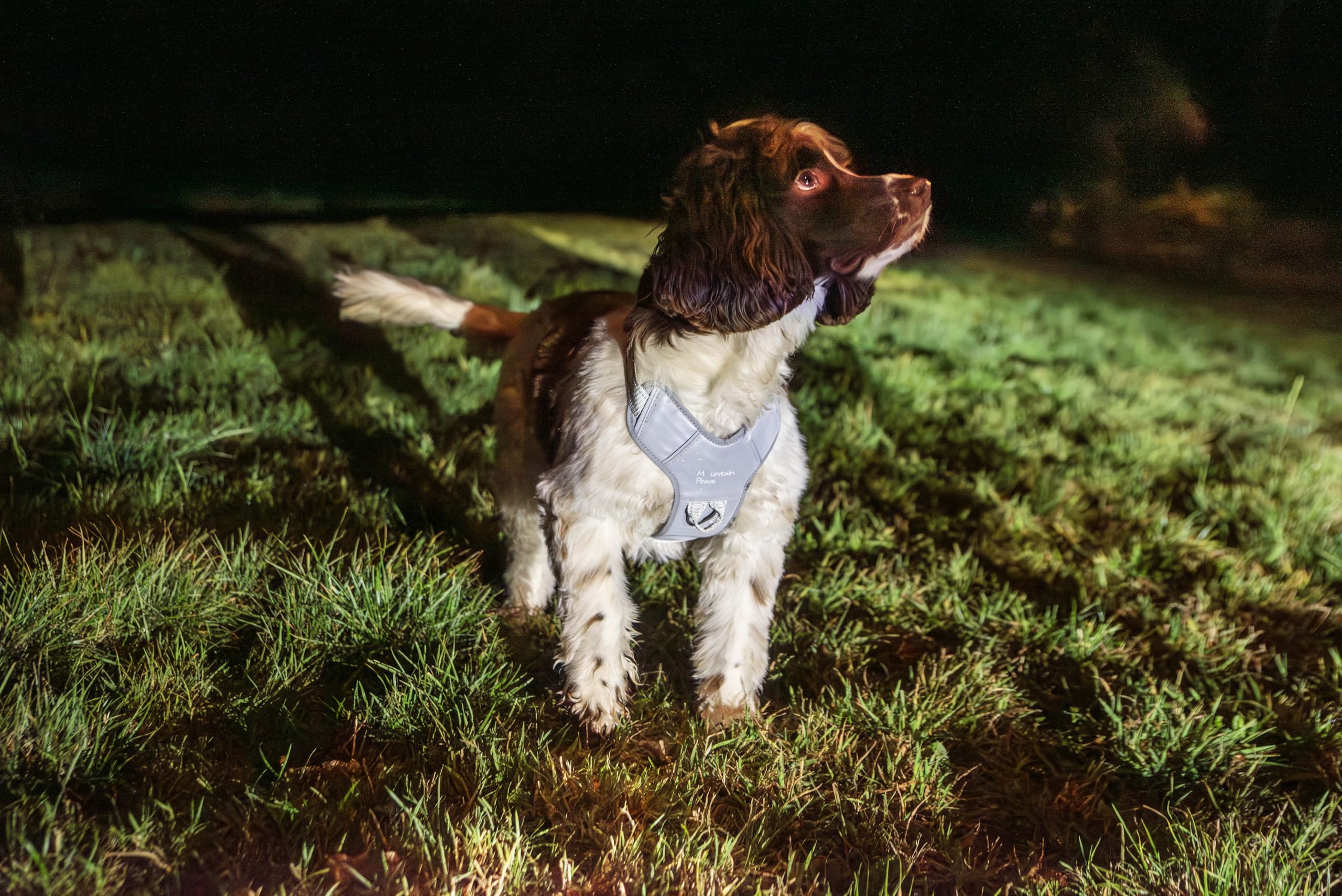 Mountain Paws Arnés para Perro, para Adaptarse a tamaños de Pecho de 45 a 108 cm, Acolchado de Espuma con Ribetes Reflectantes, Reflectante, Extra Grande