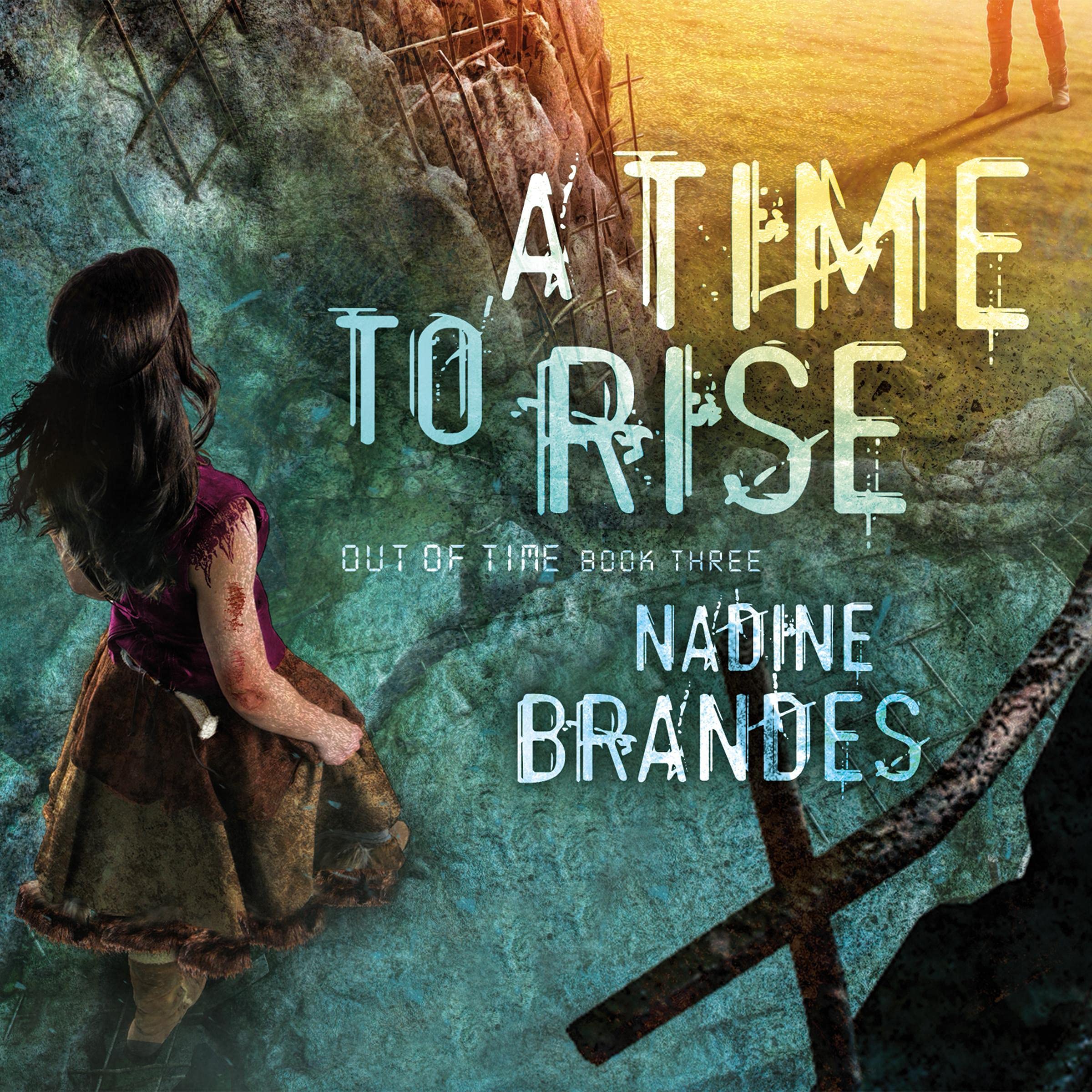 Cover art for A Time to Rise