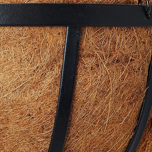 Miniatura 5 de Coconut 1593 Solstice - Maceta redonda para colgar, 20 pulgadas, color negro