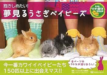 ☆うさぎページです☆ うさぎ ケージウサギフェンス うさぎケージ 小動物 大きい兎