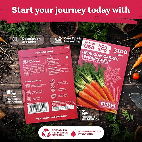 Miniatura 2 de KVITER 3100 semillas de zanahoria tiernas para plantar (Daucus carota) - Semillas de vegetales sin OMG para jardín al aire libre - Zanahorias dulces