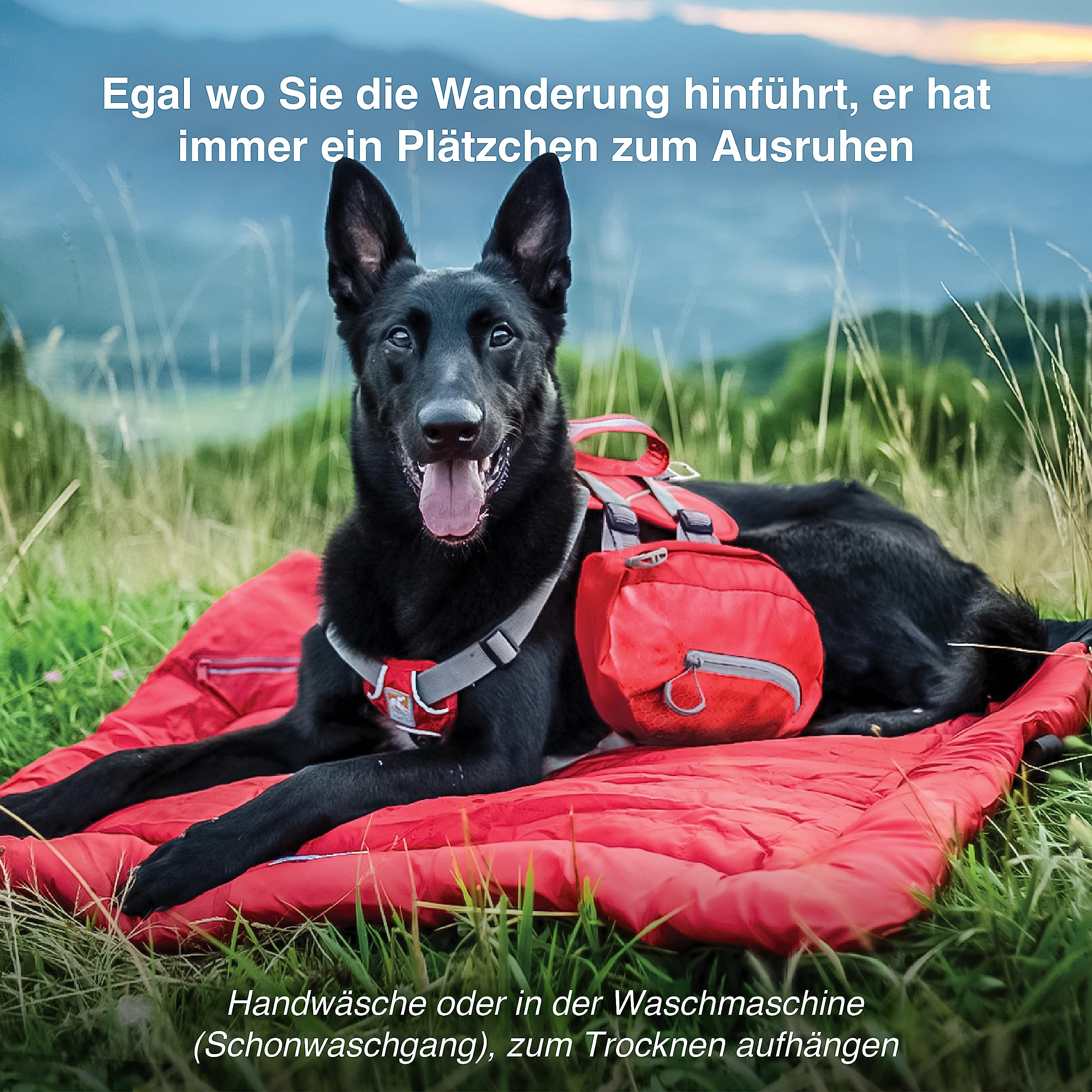Kurgo Wasserdichtes Hundebett, Outdoor Bett für Hunde, Tragbare Bettrolle für Haustiere, Reisen, Wandern, Camping, Wander Loft Hundebett, Chili Rot, Mittel