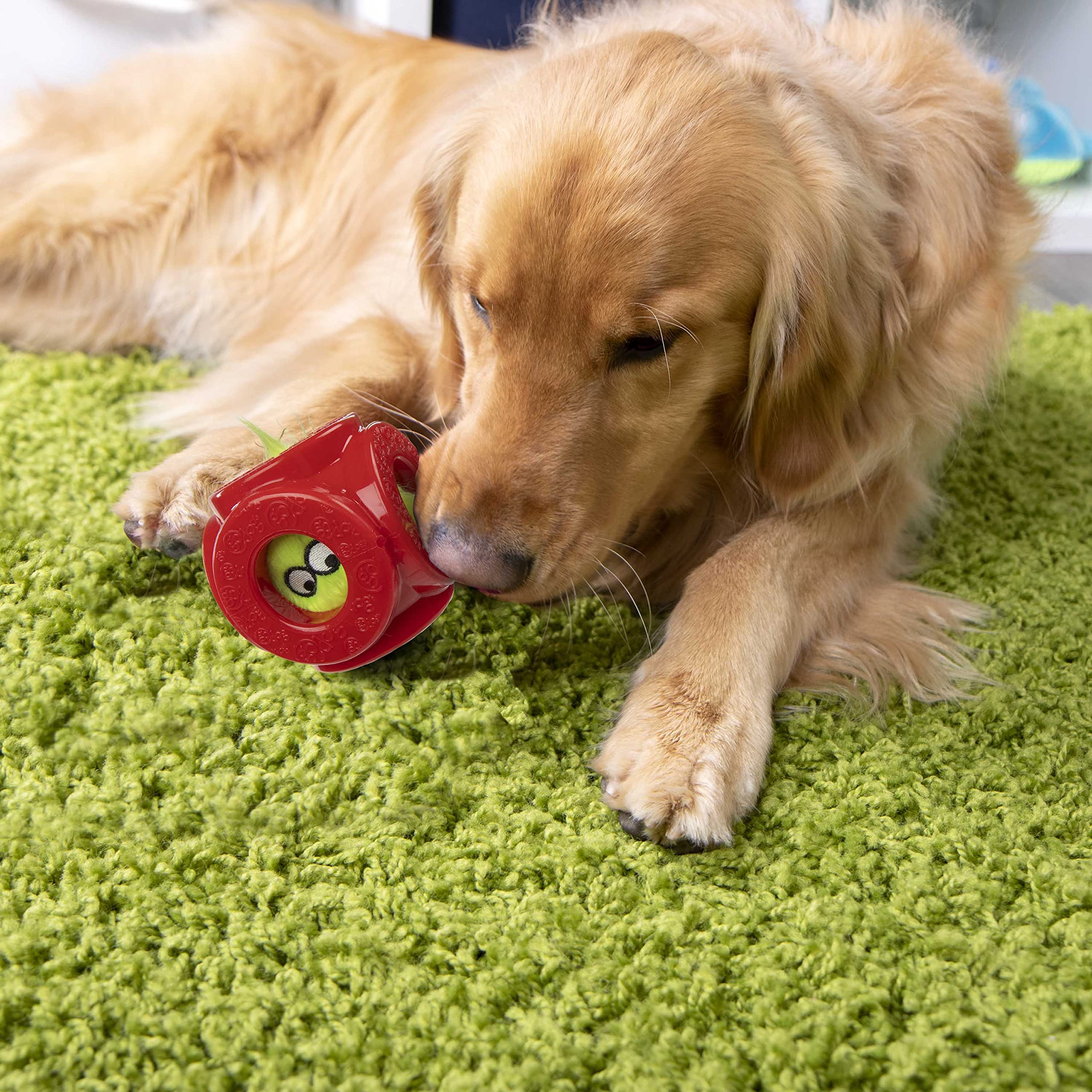 goDog Holiday Collection 2-in-1 Cage Ball Dog Toy with Furballz Squeaky Plush Dog Toy - Red, Small