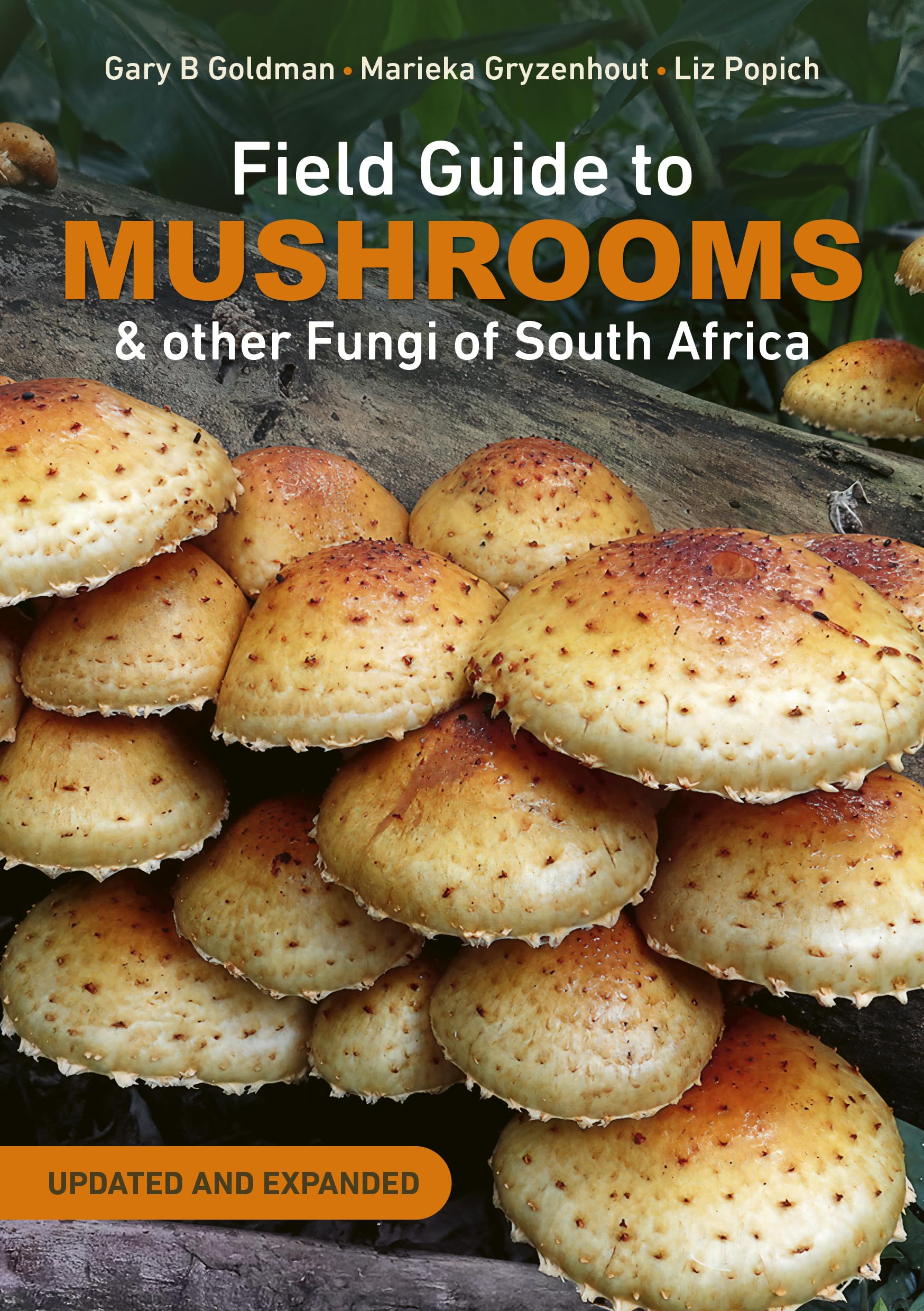 Field Guide Mushrooms & other Fungi of South Africa